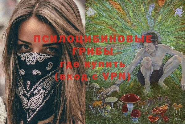 гидропоника Алексеевка