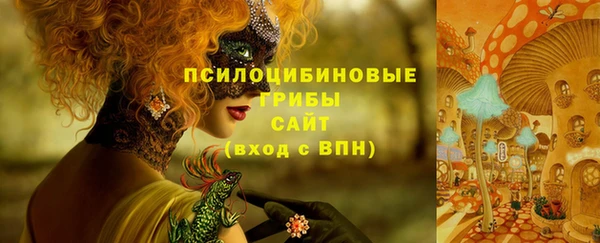 гидропоника Алексеевка