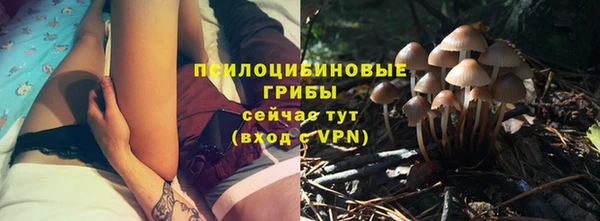 гидропоника Алексеевка